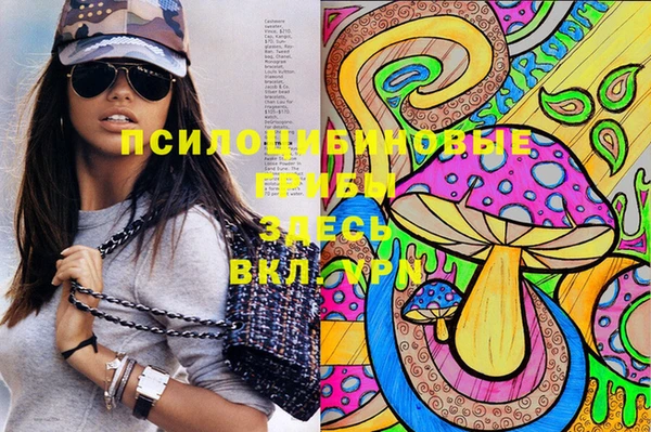 первитин Вязьма