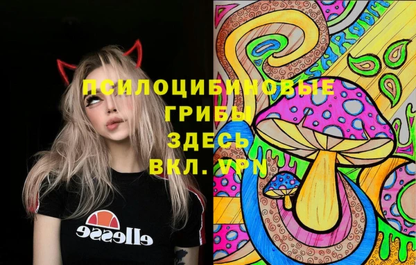 первитин Вязьма