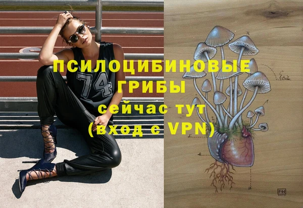 трава Володарск