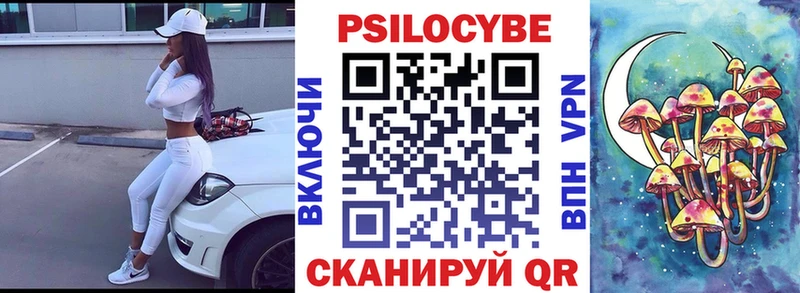 Купить закладки Гусев Галлюциногенные грибы Psilocybe