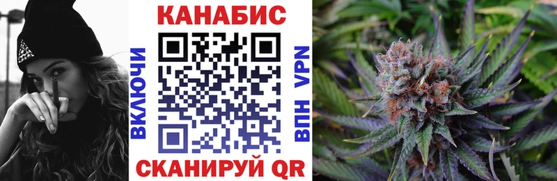 Купить где Гусев Бошки марихуана гибрид